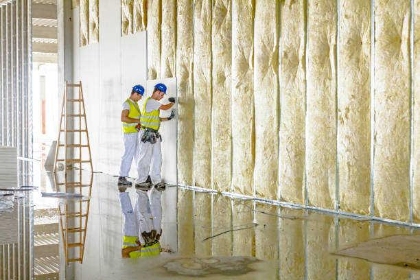 Best Insulation Installation Services in USA